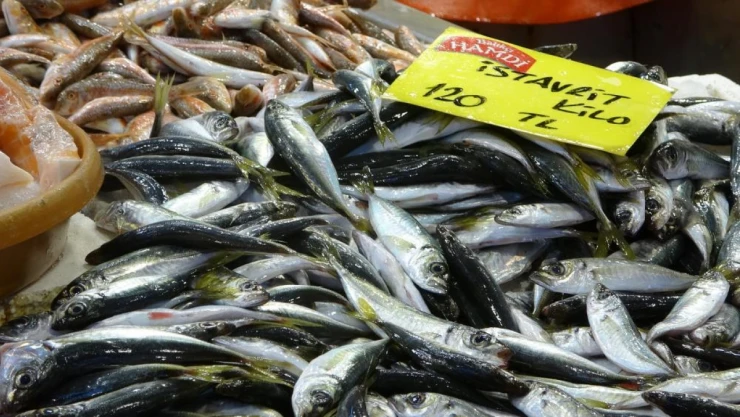 Hamsideki Azalma Fiyatları Etkiledi