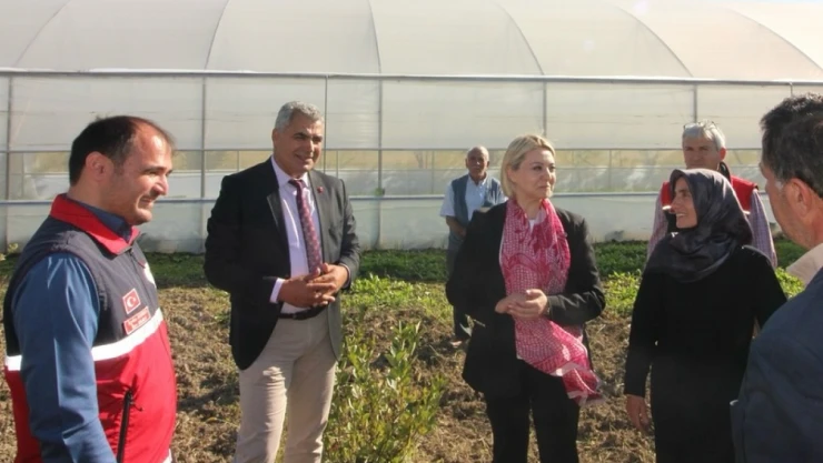 Hanönü'nde Sera Ziyareti