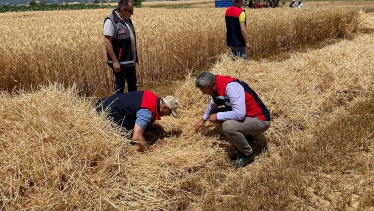 Hasat Alanlarında Denetim: Üreticilere Kritik Uyarı!