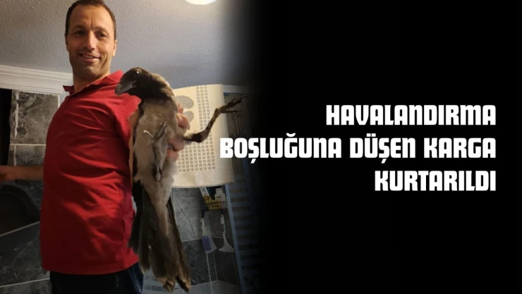 Havalandırma Boşluğuna Düşen Karga Kurtarıldı