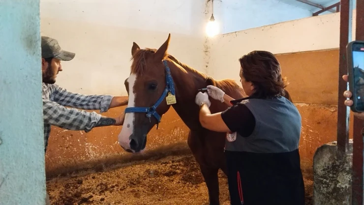 Hayvan Sağlığı Onlara Emanet