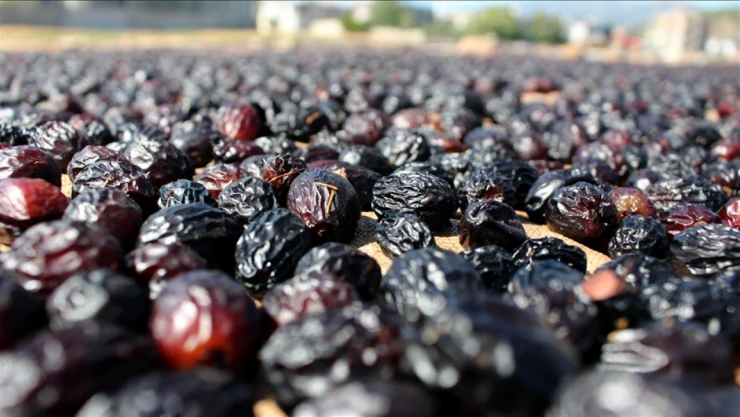 Her Yıl İhtiyaca Göre Genişletiliyor