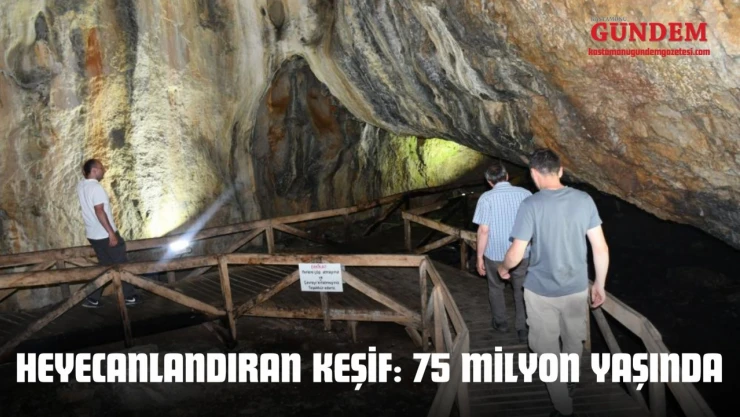 Heyecanlandıran Keşif: 75 Milyon Yaşında