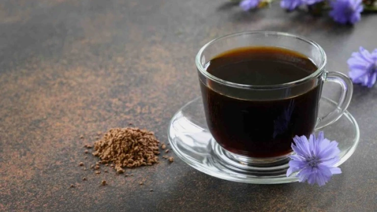 Hindiba Kahvesi Sağlığa Şifa Sunuyor