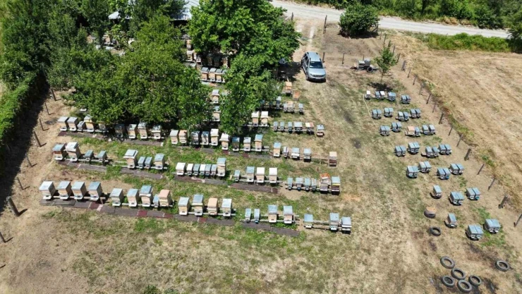 Hobi Olarak Başladı, Geçim Kaynağı Oldu