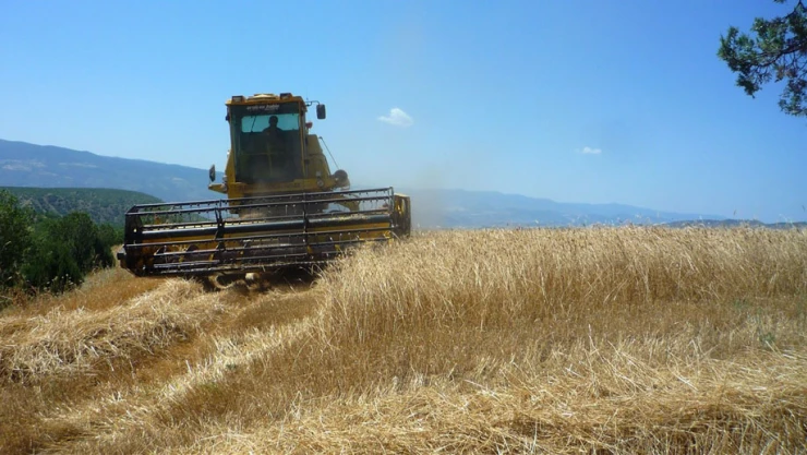 Hububat hasadı 13 biçerdöverle rekora gidiyor