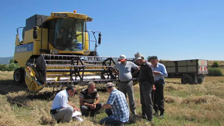 Hububat hasadı başladı