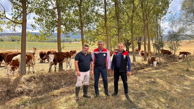 İhsangazi'de Hayvancılık İşletmesi Ziyaret Edildi