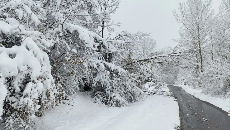 İhsangazi'de Kar Etkili Oldu
