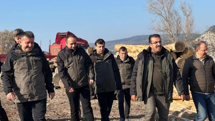 İhsangazi'de Orman Deposu İncelendi