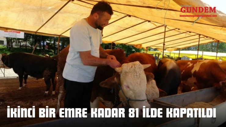 İkinci Bir Emre Kadar 81 İlde Kapatıldı