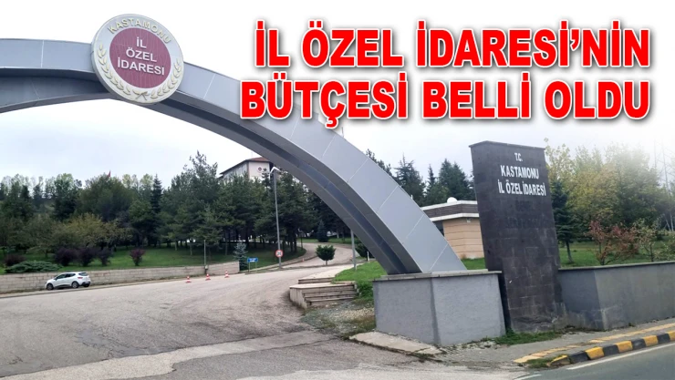 İl Özel İdaresi'nin Bütçesi Belli Oldu