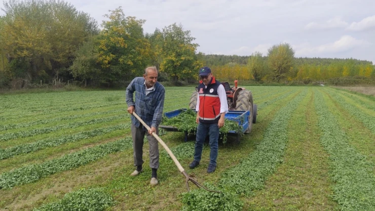 İl Tarım'dan Taşköprü'de Saha Ziyareti