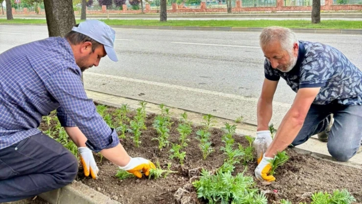 İlçenin Dört Bir Yanı Çiçeklerle Renkleniyor