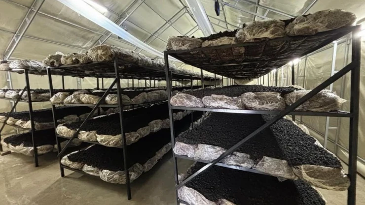 İlçenin Ekonomisine Yeni Soluk