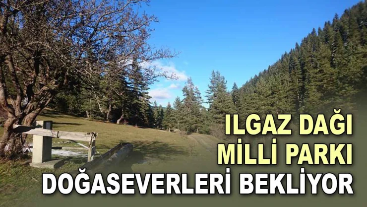 Ilgaz Dağı Milli Parkı Doğaseverleri Bekliyor
