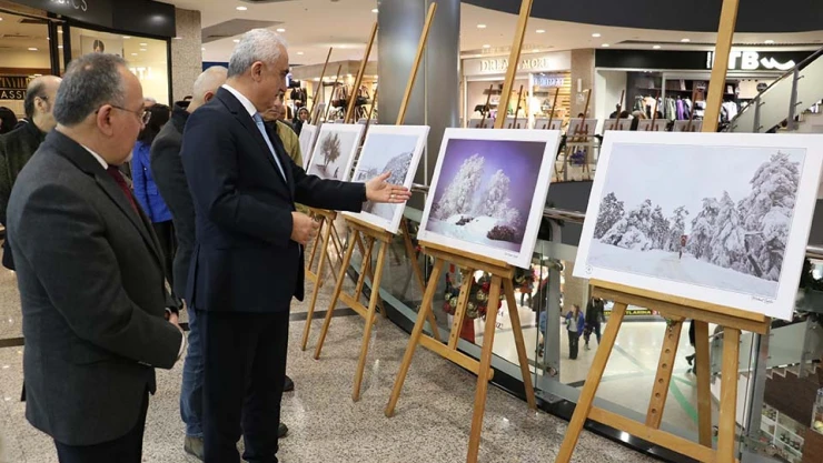 İlimizin kış güzelliği fotoğraflara taşındı