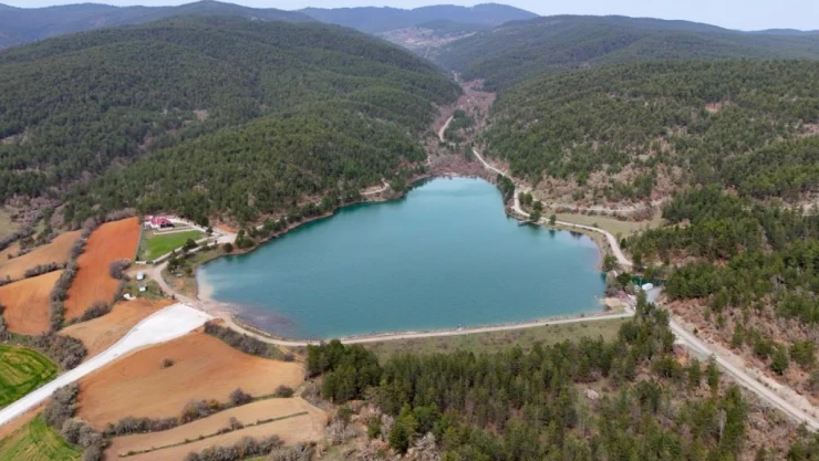 İlkbaharda Canlandı, Görenleri Mest Etti
