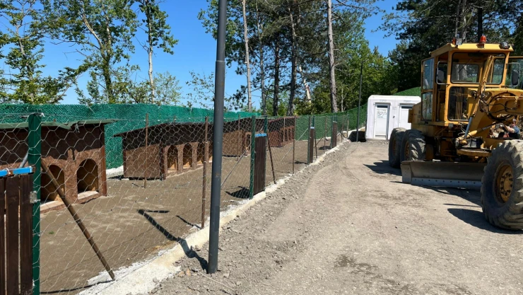 İnebolu Belediyesi'nden Sokak Hayvanları İçin Doğal Yaşam Alanı