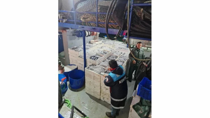 İnebolu'da Bereketli Sezon: Tonlarca Balık Karaya Çıkarıldı