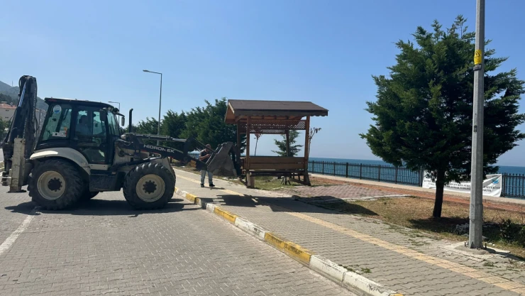 İnebolu'da Kamelyalar Geri Döndü