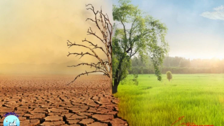 İnebolu'da Su Sıkıntısı Başladı