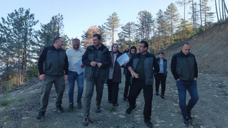 İnebolu Orman İşletme İçin Yeni Hizmet Binası Planlanıyor