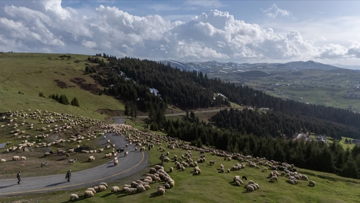 İstihdamın, Sektöre Nefes Aldırması Bekleniyor