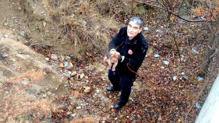 İstinat Duvarından Düşen Köpek Kurtarıldı