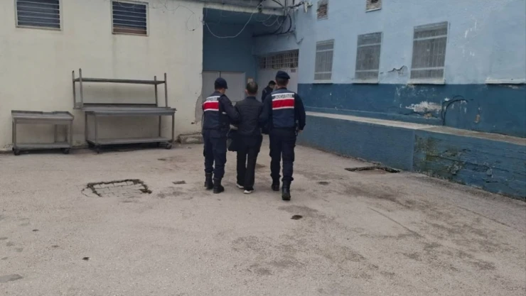 Jandarma Göz Açtırmıyor!