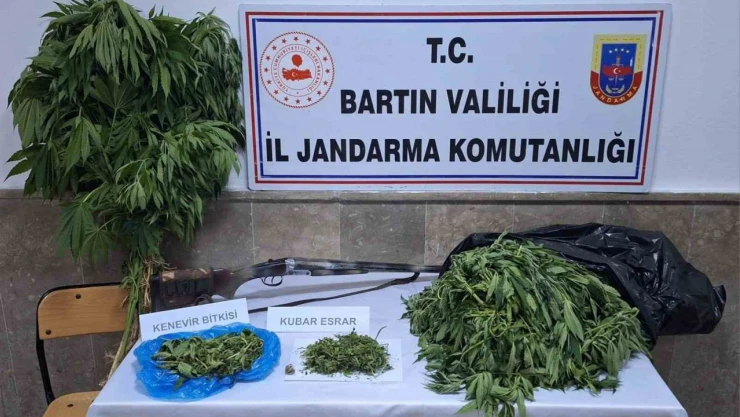 Jandarmadan Uyuşturucu Operasyonu: 2 Gözaltı