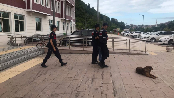 JASAT aranan şahısları yakaladı