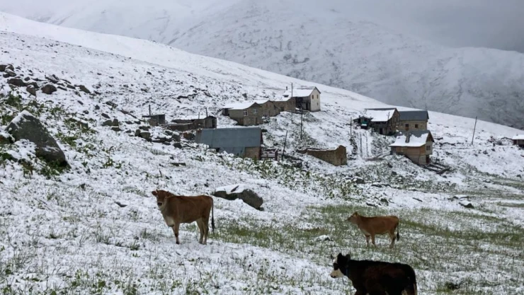 Kaçkar Dağları'ndan Turistlere 'Beyaz Sürpriz'
