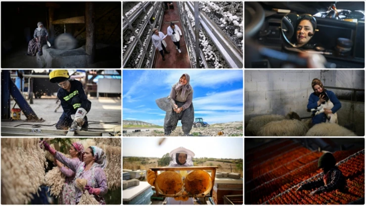 Kadınlar Nüfusun Yüzde Kaçını Oluşturuyor?