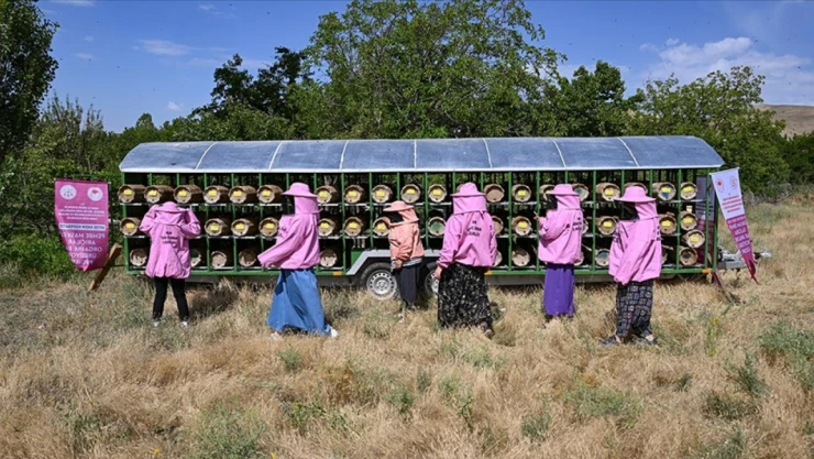 Kadınlara Arıcılık Fırsatı