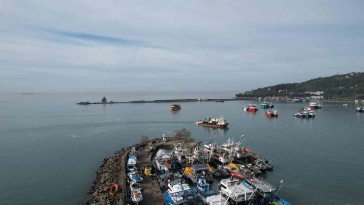 Kafkametler'in Kayıp 7 Mürettebatı 12. Günde Aranıyor