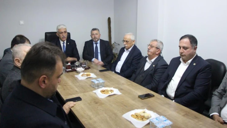 Kahverengi Kokarca İnsanlara Huzur Vermiyor!