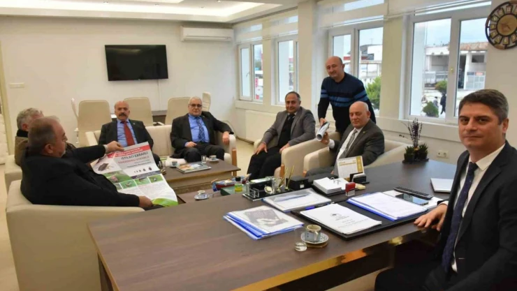 Kahverengi Kokarca Kabusu Sinop'a Sıçradı