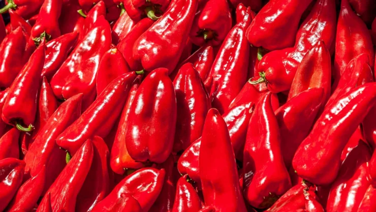 Kapya Biber Salçası Yaparken İşe Yarar Tüyo: Bakın Nasıl Hazırlanıyor