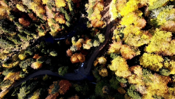 Karabük ormanlarına giriş 3 ay süreyle yasaklandı