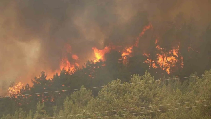 Karabük'te 29 Saattir Süren Orman Yangını Yeniden Alevlendi