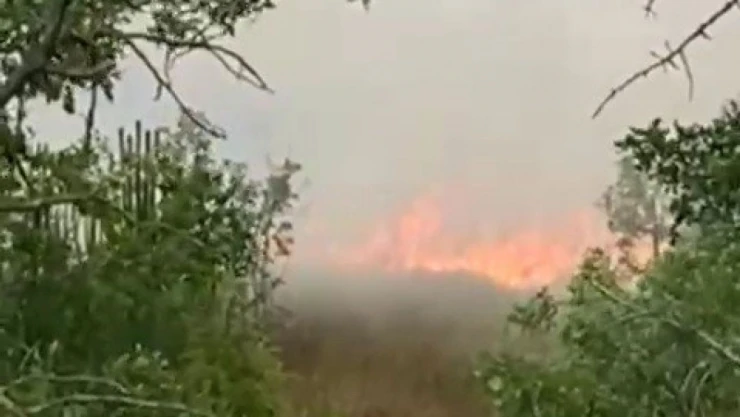 Karabük'te Anız Yangını Büyümeden Söndürüldü