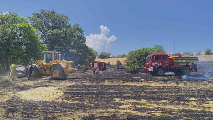Karabük'te Anız Yangını Kontrol Altına Alındı