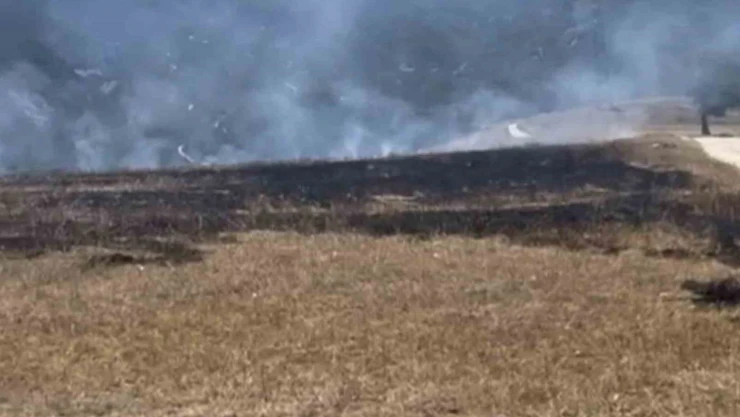 Anız Yangınında 1 Dönüm Tarım Arazisi Zarar Gördü