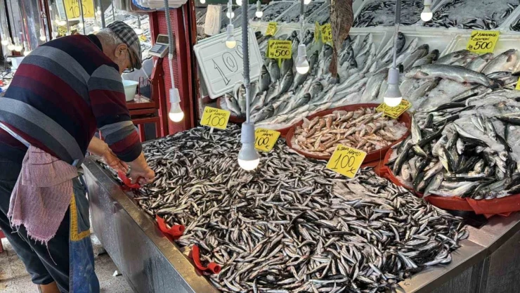 Karabük'te Balık Tezgahlarında Hamsi Bolluğu