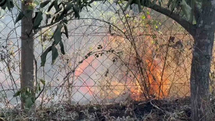 Karabük'te Çıkan Anız Yangınında 25 Dönüm Alan Zarar Gördü