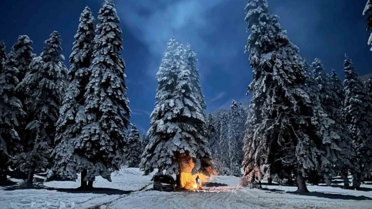 Karabük'te Kamp Yapam Gençlere Tilki Sürprizi