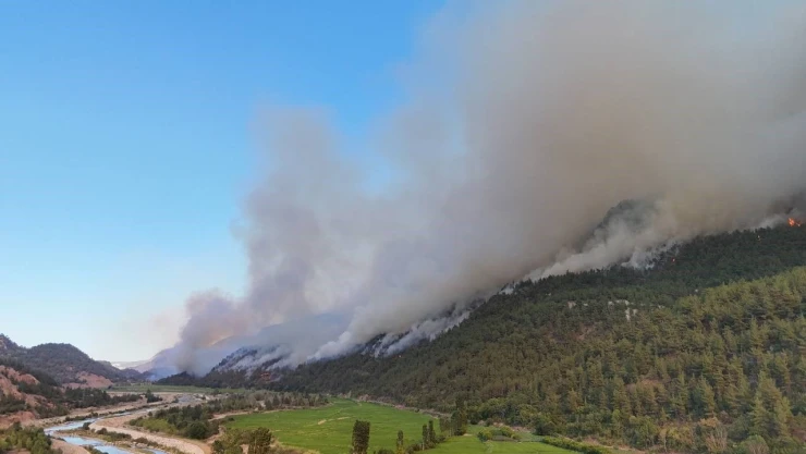 Sarp Arazide Yangına Müdahale Sürüyor
