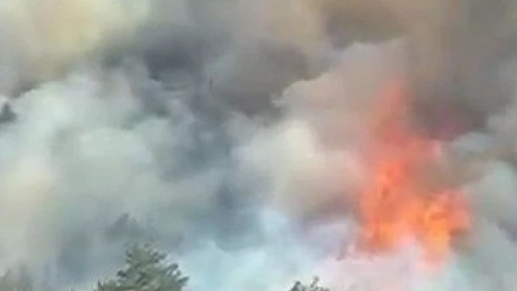 Karabük'te Orman Yangını Çıktı