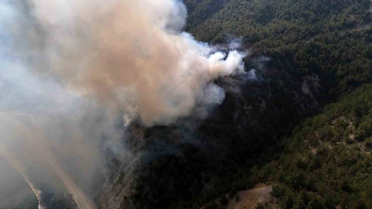 Karabük'te Orman Yangını Çıktı